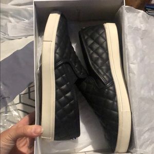 Steve Madden Ecentrcq Sneaker.